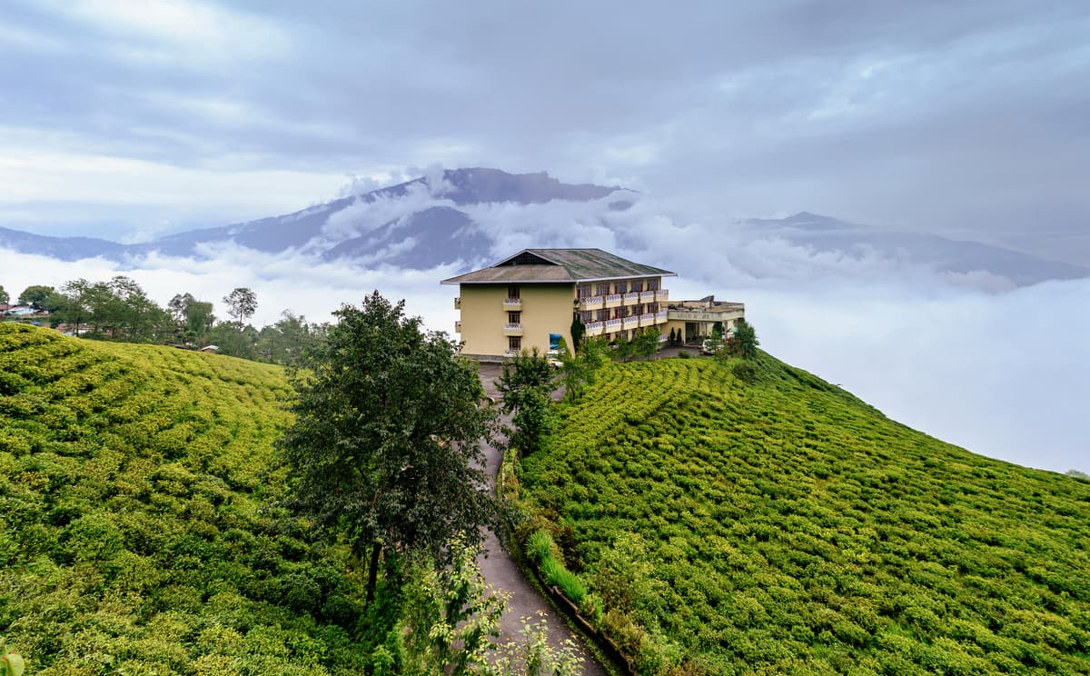 Nature View